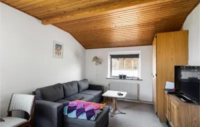 a living room with a couch and a tv at Awesome Home In Thyborøn With Wifi in Thyborøn