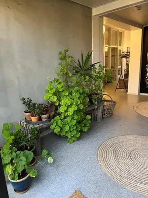 a bunch of potted plants sitting on a table at Room 9 -Hawkraft kulturhotel in Vestervig