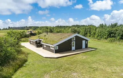 a house with a grass roof on a wooden deck at Pet Friendly Home In Saltum With Wifi in Saltum