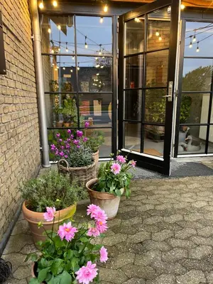 a group of potted plants in front of a building at Room 14 - Hawkraft kulturhotel in Vestervig