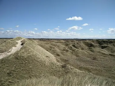 an empty field with grass and a blue sky at 6 person holiday home in Pandrup-By Traum in Pandrup