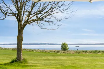a tree in a field next to a body of water at Feriehuset Hygge ved Fjorden in Thyholm