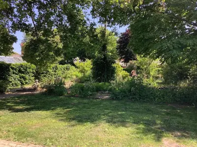 a shady yard with a tree and some bushes at 6 person holiday home in Thisted-By Traum in Thisted