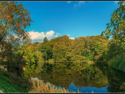 a river with trees reflecting in the water at 8 person holiday home in Øster Assels-By Traum in Øster Assels
