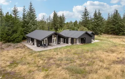 a black cabin in the middle of a field at Nice Home In Fjerritslev With Wifi in Fjerritslev
