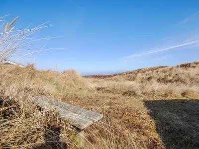 a bench sitting on top of a grass covered hill at Holiday Home Hilmer - 250m from the sea by Interhome in Torsted