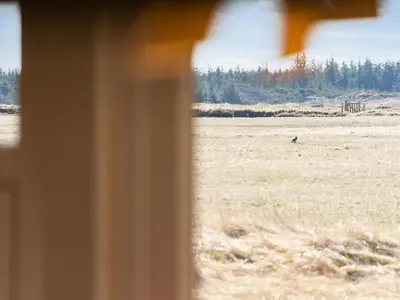 a window view of a field with a bird in the distance at Holiday Home Tianna - 500m from the sea by Interhome in Pandrup