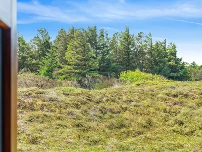 a view of a grassy hill with trees in the background at Holiday Home Henri - 500m from the sea by Interhome in Fjerritslev