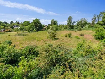 an open field with bushes and trees in the background at Holiday Home Nadia - 300m to the fjord by Interhome in Fur