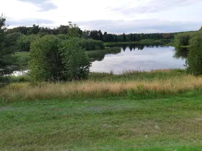 a pond in a field with grass and trees at 6 person holiday home in Skals-By Traum in Skals