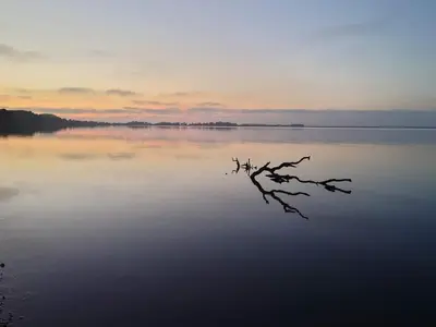 a tree branch in the water at sunset at 8 person holiday home in Lemvig-By Traum in Lemvig
