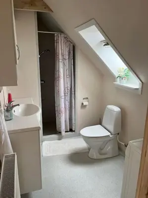 a bathroom with a toilet and a sink at Stor lejlighed ved stranden i Agger Cold Hawaii in Agger