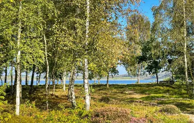 a group of trees in a field next to a body of water at 2 Bedroom Gorgeous Home In Højslev in Højslev