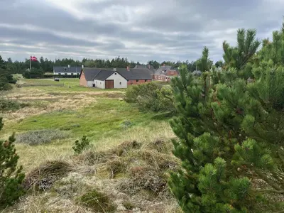 a group of houses in a field with a pine tree at The Beach Farm - charm, beach and stunning nature in Bedsted Thy