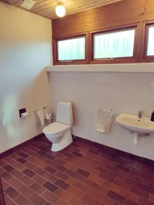 a bathroom with a toilet and a sink at Comfortable 3- bedroom villa with free parking in Roslev