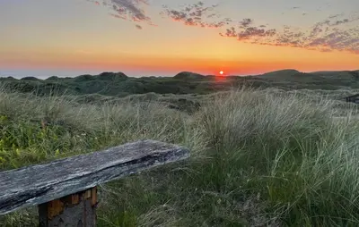 a bench in a field with the sunset in the background at Beautiful Home In Saltum in Saltum