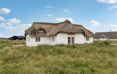 a house with a thatched roof on top of a field at 3 Bedroom Stunning Home In Lemvig in Lemvig