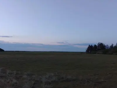 a large open field with trees in the distance at 7 person holiday home in Fjerritslev-By Traum in Fjerritslev
