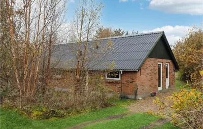 a brick house with a black roof at Lovely Home In Hurup Thy With Wifi in Sønder Ydby