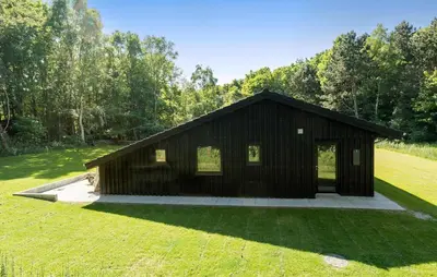 a small black building in a field of grass at 3 Bedroom Cozy Home In Farsø in Farsø