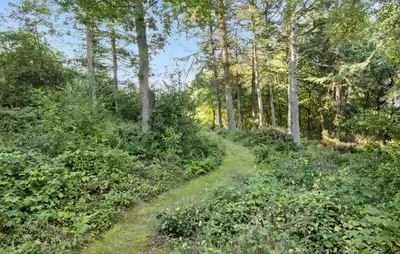 a dirt road through a forest with trees at 3 Bedroom Amazing Home In Fur in Fur