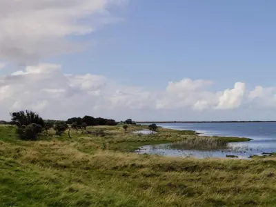 a grassy field with a body of water at 5 star holiday home in Lemvig-By Traum in Lemvig