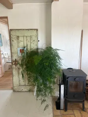 a room with a door and a plant next to a tv at The Fishermen's House - charming and close to beach in Vang