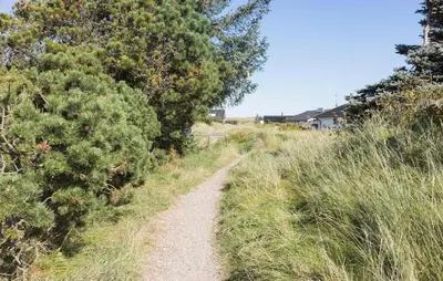 a dirt trail in a field next to a tree at Lovely Home In Thisted With Kitchen in Thisted