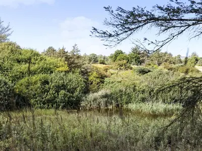 a body of water with trees and bushes at Holiday Home Joris - 1-5km from the sea by Interhome in Løkken