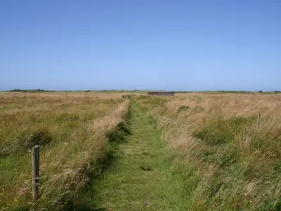 a dirt road in a field with tall grass at Holiday Home Gisa - 400m from the sea by Interhome in Fjerritslev