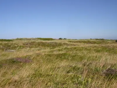 a field of grass with a blue sky in the background at Holiday Home Gisa - 400m from the sea by Interhome in Fjerritslev