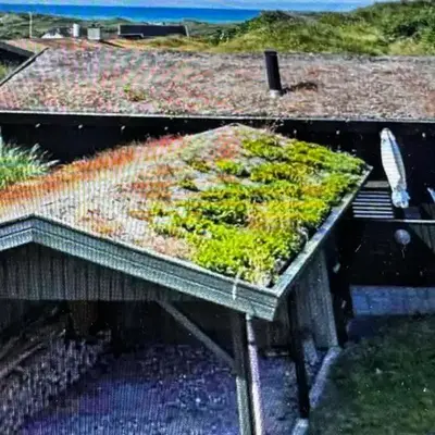 Veludstyret sommerhus i unik natur 350 m fra lækker badestrand - helårsbolig
