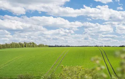 a large green field with tracks in the grass at Stunning Home In Løgstrup With Kitchen in Løgstrup