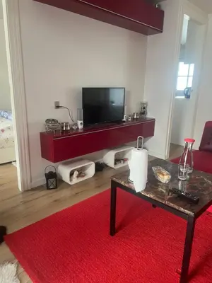 a living room with a television and a red rug at Nice small house 5 minutes to the sea in Ranum