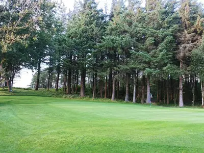 a golf course with trees in the background at 6 person holiday home in Struer-By Traum in Struer