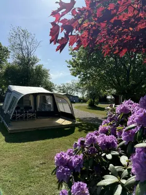 a tent sitting in a field with purple flowers at Himmerland camping & Feriecenter in Års