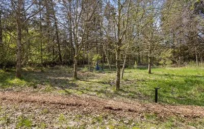 a group of trees in a field with grass at Stunning Home In Bedsted Thy With Wifi in Bedsted Thy