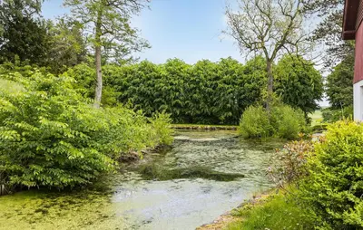 a stream in a yard with trees in the background at Lejl 4 in Brovst