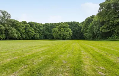 a large grass field with trees in the background at Lejl 3 in Brovst