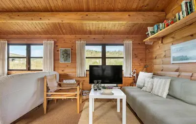 a living room with a couch and a tv at 2 Bedroom Lovely Home In Saltum in Saltum