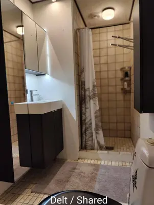 a bathroom with a shower with a sink and a toilet at Billig overnatning tæt på badestrand og jesperhus in Roslev
