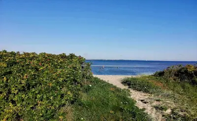 a dirt path next to the ocean with a bush at Kongshøjgaard in Farsø