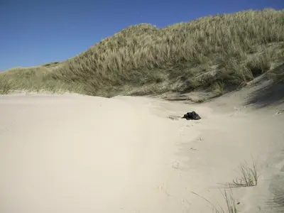 a sand dune with a hill in the background at 8 person holiday home in Pandrup-By Traum in Pandrup