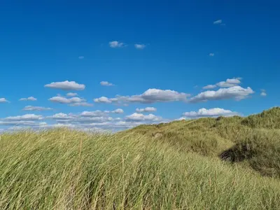 a field of grass with a blue sky and clouds at 8 person holiday home in Pandrup-By Traum in Pandrup
