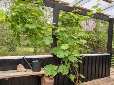 a garden with a trellis and a plant at 5 person holiday home in Thyholm-By Traum in Thyholm