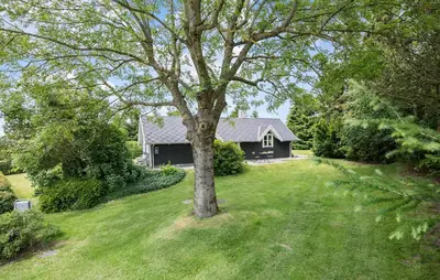 a house with a tree in the middle of a yard at 2 Bedroom Beautiful Home In Farsø in Farsø