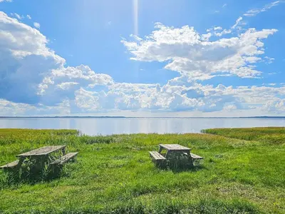 two benches sitting in a field next to a body of water at 4 star holiday home in Gedsted-By Traum in Gedsted