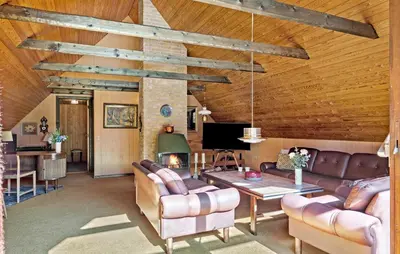 a living room with leather furniture and a fireplace at Stunning Home In Højslev With Wifi in Højslev