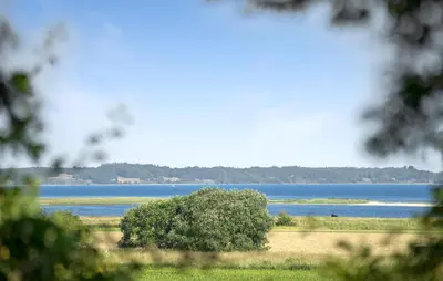 a large body of water with a tree in the foreground at Stunning Home In Højslev With Wifi in Højslev