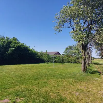 a tree in the middle of a field with a goal at Vakantiewoning Denemarken in Års